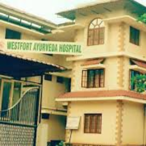 order now kings pizza chicken fingers 1 (2)