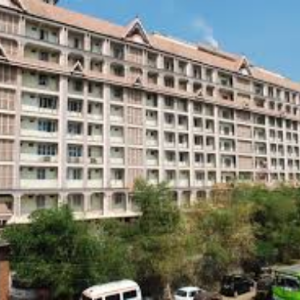 order now kings pizza chicken fingers 1 (3)