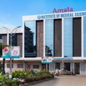 order now kings pizza chicken fingers 1 (4)