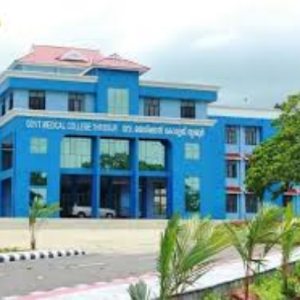 order now kings pizza chicken fingers 1 (5)